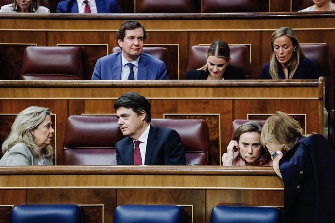 Imagen de la bancada 'popular' en el Pleno del Congreso, con su portavoz, Cuca Gamarra (seguinda por la izquierda) y el diputado Carlos Rojas, a su derecha