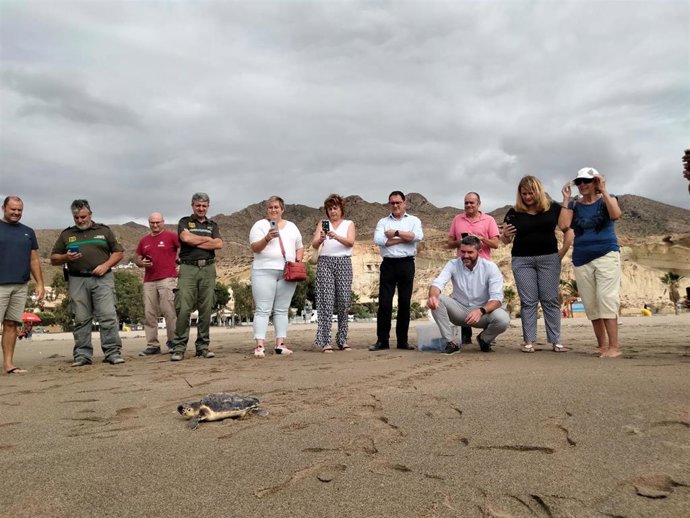 Liberación de un ejemplar juvenil de tortuga boba ('caretta caretta') en Bolnuevo, Mazarrón (Murcia)