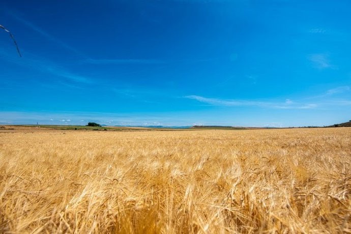 Acció Climtica abona 11,4 milions d'euros als afectats pel conflicte d'Ucrana