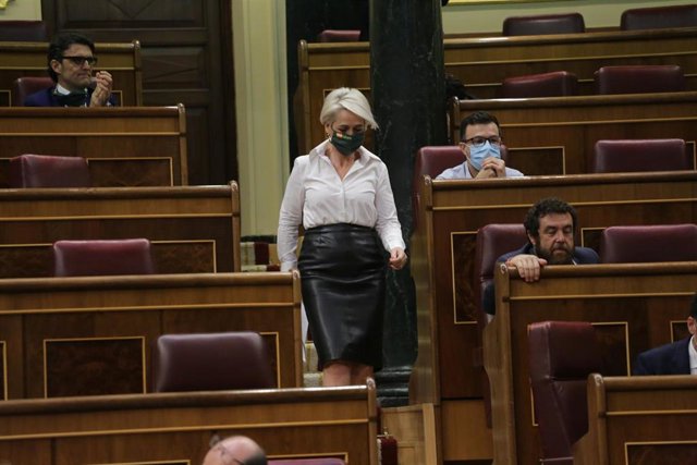 Archivo - La diputada de Vox Inés María Cañizares en el Pleno del Congreso