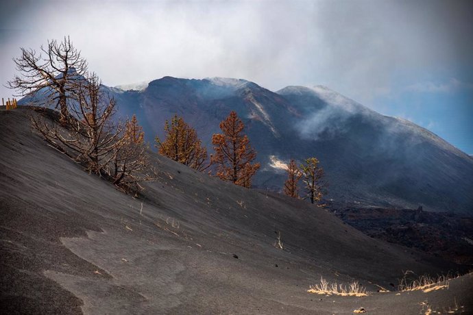 Vistas del volcán Tajogaite desde el camino habilitado para los turistas que sale desde el Llano del Jable