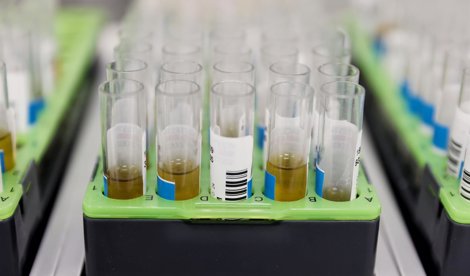 Investigación