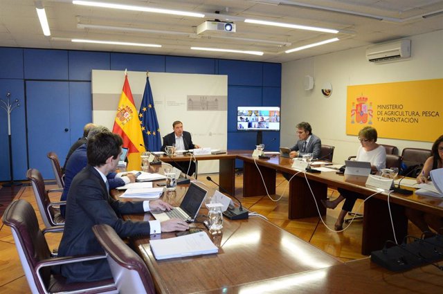 El ministro de Agricultura, Pesca y Alimentación, Luis Planas,  en el Consejo Consultivo de Política Agrícola Común para Asuntos Comunitarios
