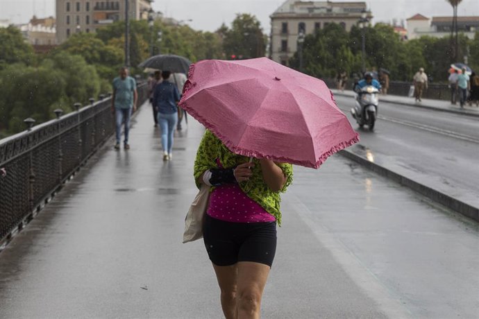 Varias personas caminan bajo sus paraguas el día en que han puesto en aviso amarillo a la Comunidad de Andalucía por tormentas y lluvias. A 13 de septiembre de 2022, en Sevilla (Andalucía, España). La Agencia Estatal de Meteorología (Aemet) ha activado 