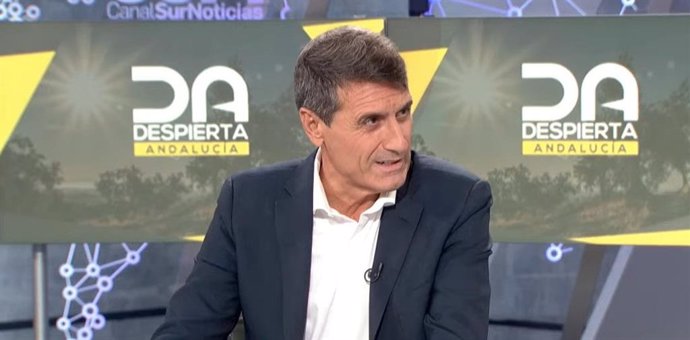 El delegado del Gobierno en Andalucía, Pedro Fernández, en una entrevista en Canal Sur Televisión.