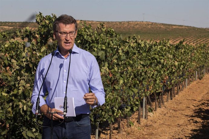 El presidente del PP, Alberto Núñez Feijóo, interviene durante su visita a un viñedo de denominación de origen Ribera del Duero en Roa.