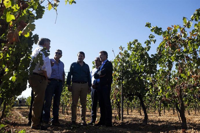 (I-D) El presidente de la DO Ribera del Duero, Enrique Pascual; el dueño de la bodega; el presidente de la Junta de Castilla y León, Alfonso Fernández Mañueco; el alcalde de Roa de Duero, David Colinas y el presidente del PP, Alberto Núñez Feijóo