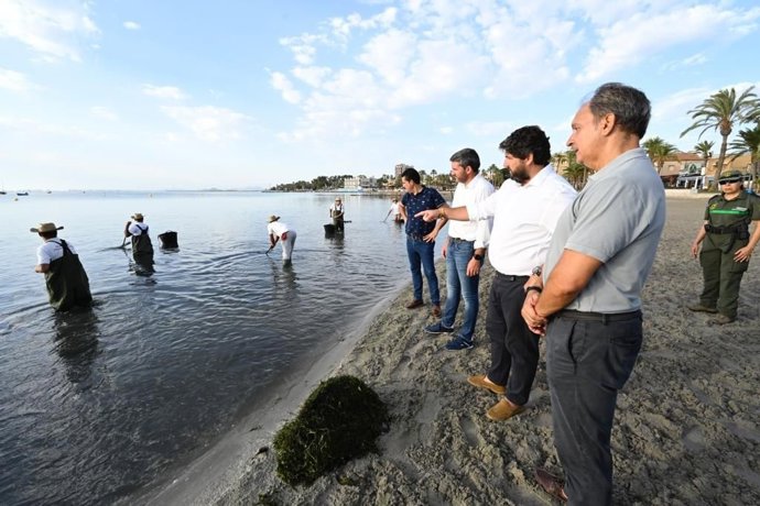 El presidente de la Región de Murcia, Fernando López Miras, visita a las brigadas de retirada de biomasa en playas del Mar Menor