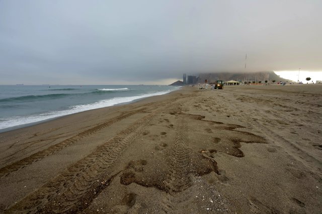 Imágenes del vertido del OS 35 que han llegado a las playas de La Línea de la Concepción (Cádiz)