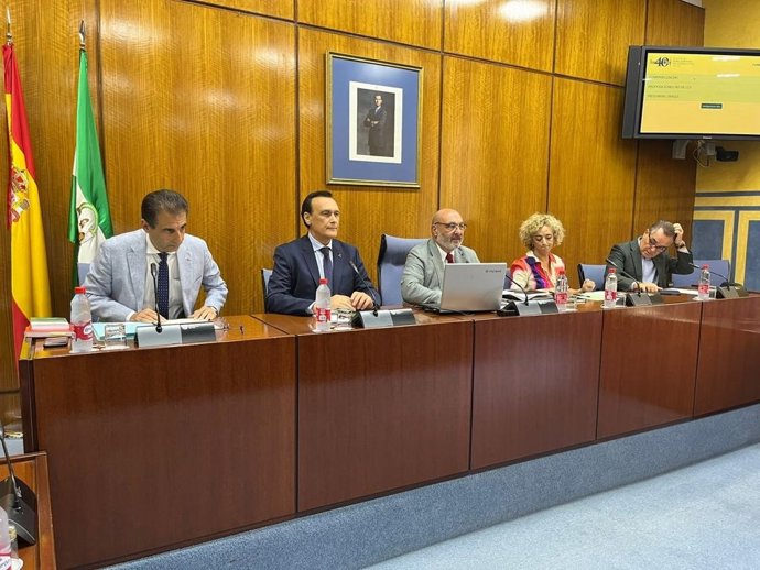 El consejero de Universidad, Investigación e Innovación, José Carlos Gómez Villamandos, en su primera comisión parlamentaria