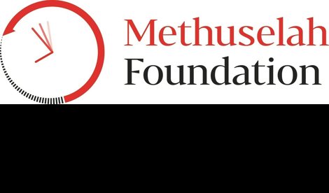 Comunicados Internacional