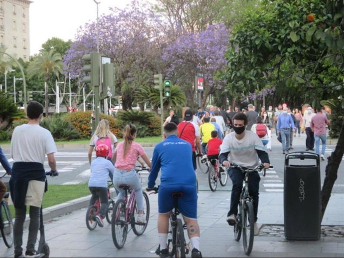 Carril bici en Sevilla.