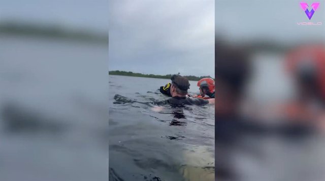 Esta perrita socorrista ayuda a salvar vidas en el mar