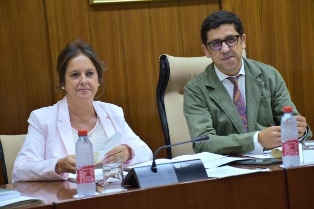 La consejera de Salud y Consumo, Catalina García, en su primera comparecencia en comisión parlamentaria