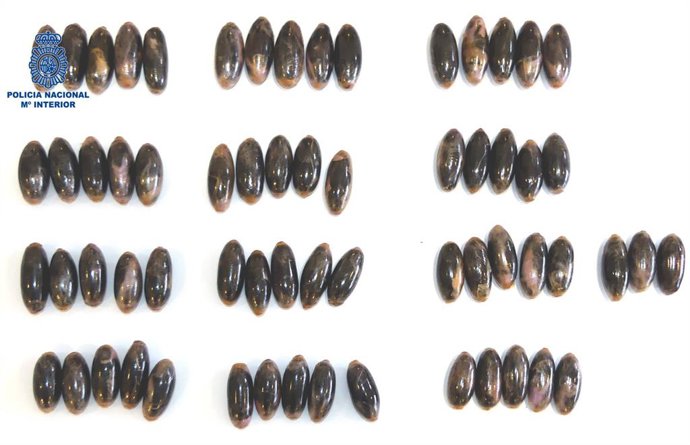 Archivo - Imagen de archivo de bellotas de hachís