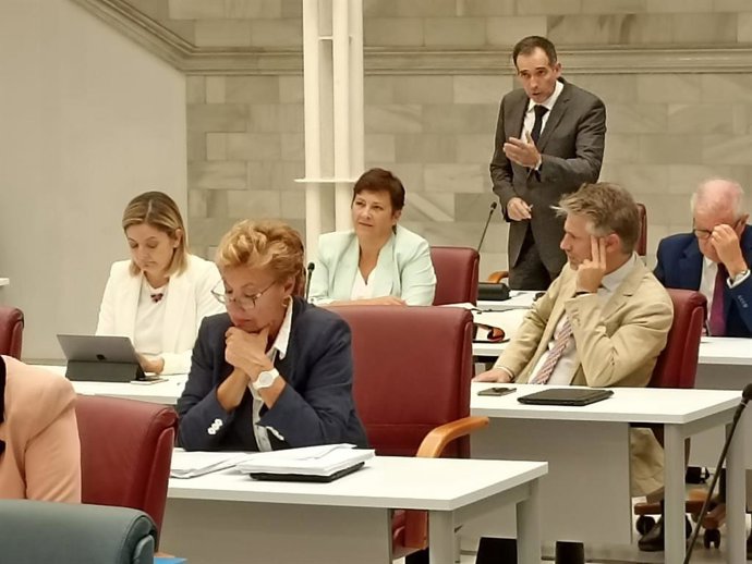 El portavoz de Vox, Juan José Liarte