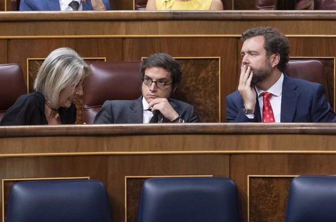 El secretario general de Vox, José María Figaredo (c) y el portavoz del Grupo Parlamentario Vox, Iván Espinosa de los Monteros (d), durante una sesión plenaria, en el Congreso