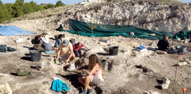 Fósiles de jirafas, hienas, caballos, gacelas y antílopes afloran en la excavación del yacimiento La Gloria 4 (Teruel)