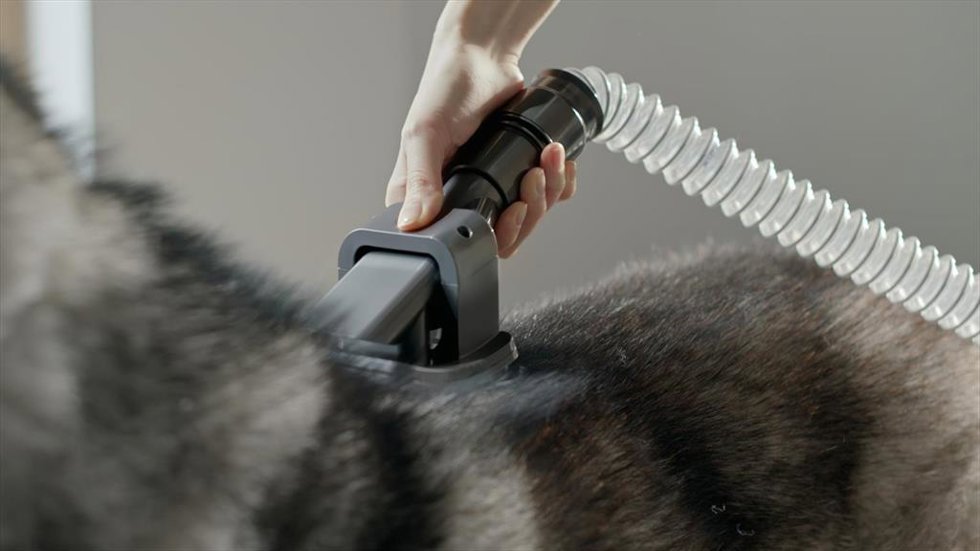 Cepillo Dyson Groom para mascotas