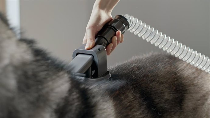 Cepillo Dyson Groom para mascotas