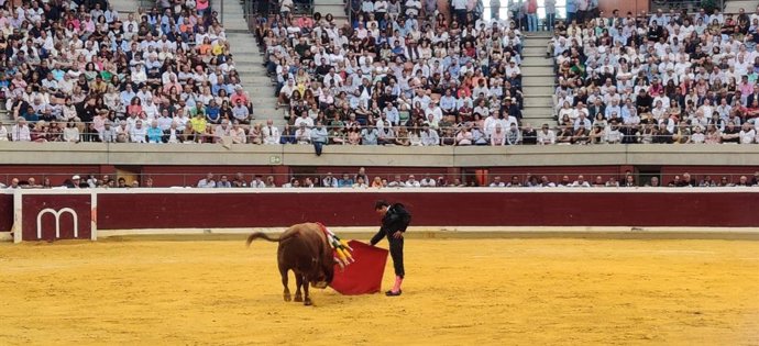 Desierto, por unanimidad, el 'VII Trofeo Taurus al Mejor Toro de la Feria' de San Mateo 2022