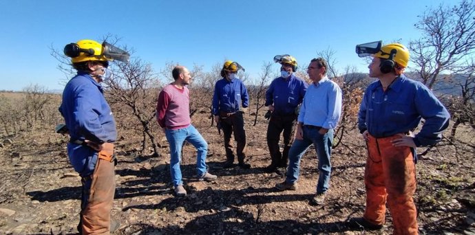 El director general competente en esta materia, Diego Bayona, ha visitado las obras iniciadas en Castejón de Tornos (Teruel)