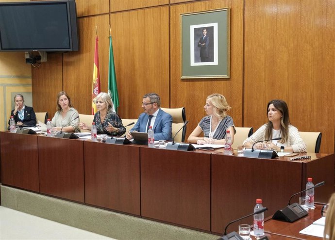 La consejera de Desarrollo Educativo y FP, Patricia del Pozo, durante su comparecencia en comisión