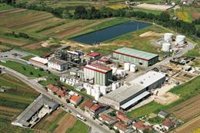 Iberdrola y Foresa se alían para impulsar la producción de metanol verde en España
