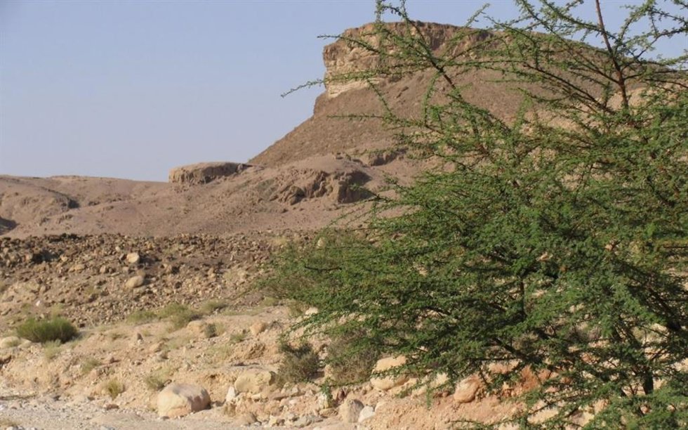 Paraje donde se ubicaron las explotaciones mineras del valle del Timna