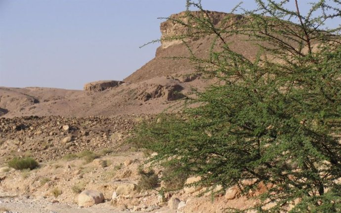 Paraje donde se ubicaron las explotaciones mineras del valle del Timna