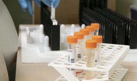 Investigación