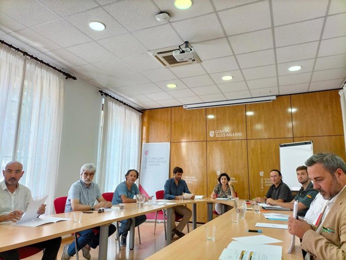 Reunión de la Comisión contra la Violencia en el Deporte de Baleares.