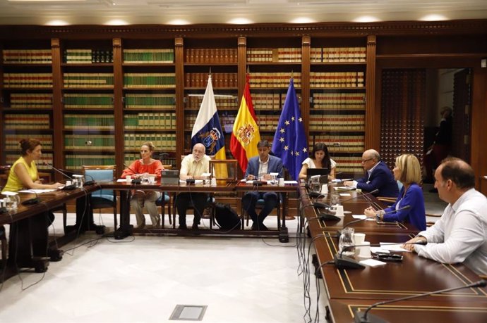 Comisión de estudio sobre el reto demográfico en Canarias