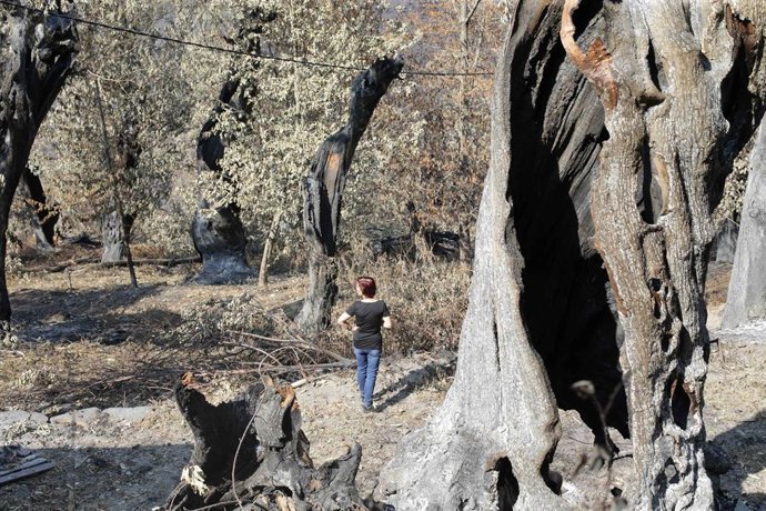 Archivo - Voluntarios observan exhaustos los daños causados en la sierra do Courel tras el incendio, a 23 de julio de 2022, en Lugo