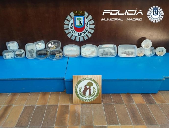 Incautadas 19 especies vivas en un operativo contra el tráfico de especies en el marco de Expoterraria