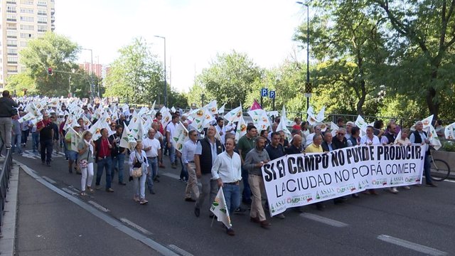 Agricultores y ganaderos se manifiestan por las calles de Valladolid en protesta por la situación del campo.