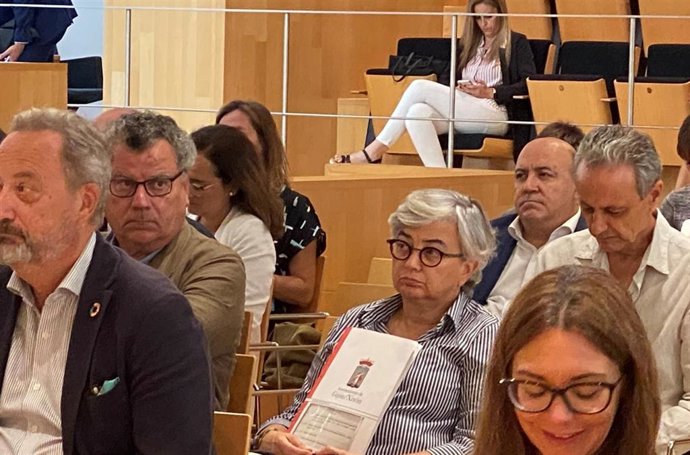 La alcaldesa de Gijón, Ana González,  durante su participación en la XV Asamblea General de la Red, celebrada en Málaga