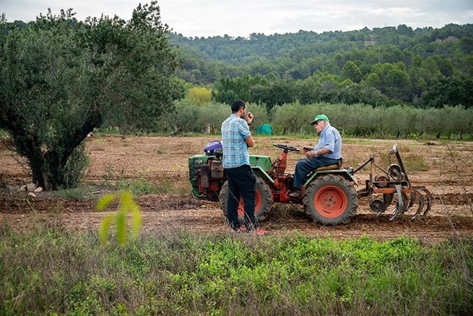 La Diputación de Barcelona impulsa la red de tierras para recuperar campos de cultivo en desuso y facilitar su relieve generacional.