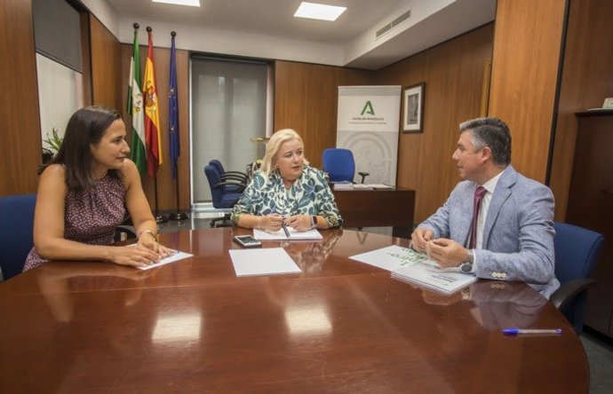 El presidente del Colegio de Farmacéuticos de Huelva, Jorge Juan García Maestre, y la secretaria del colegio, Inmaculada Rite, reunidos con la delegada territorial de Salud y Consumo, Manuela Caro.