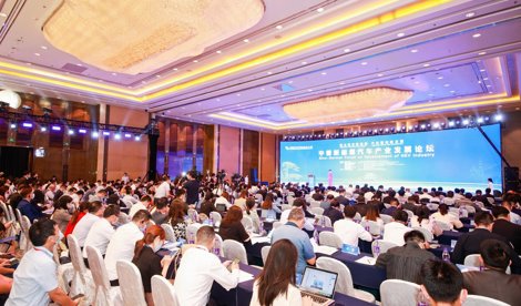 Comunicados Internacional