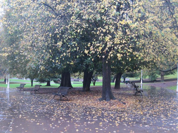 Archivo - Tiempo otoñal en Euskadi.
