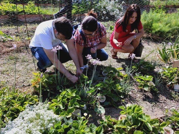 Proyecto agroecológico financiado por el plan 'Sembrando territorio'