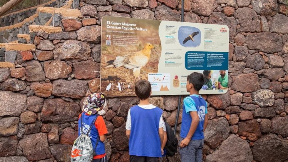 Oasis Wildlife (Fuerteventura)