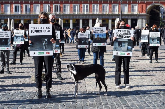 Archivo - Varias personas con pancartas y un perro en la protesta convocada por AnimaNaturalis, CAS International y Plataforma No A la Caza (NAC), en la Plaza Mayor, a 30 de enero de 2022, en Madrid (España).
