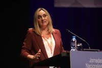 Carazo espera acuerdo el lunes en Consejo Andaluz del Taxi y remarca que normativa de la Junta "no va a dañar" al sector