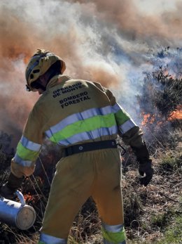 Archivo - Extinción de incendio forestal.
