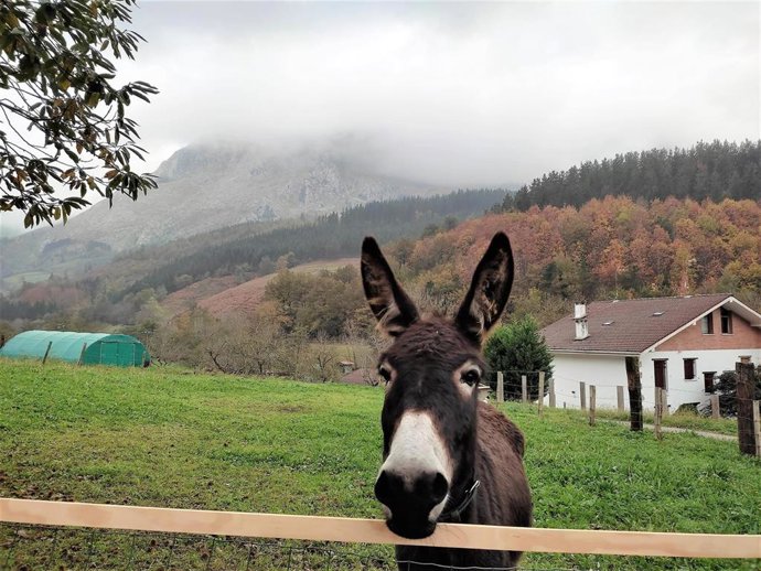 Jornada nubosa en Bizkaia