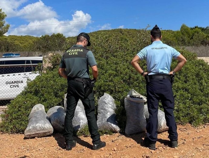 Sacos de algarroba intervenidos por la Guardia Civil.