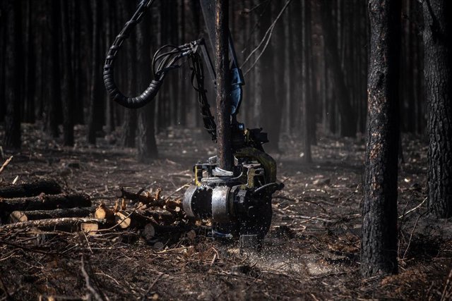 El brazo de un tractor trabaja en las labores de retirada de la leña quemada tras un incendio en Sierra de la Culebra.