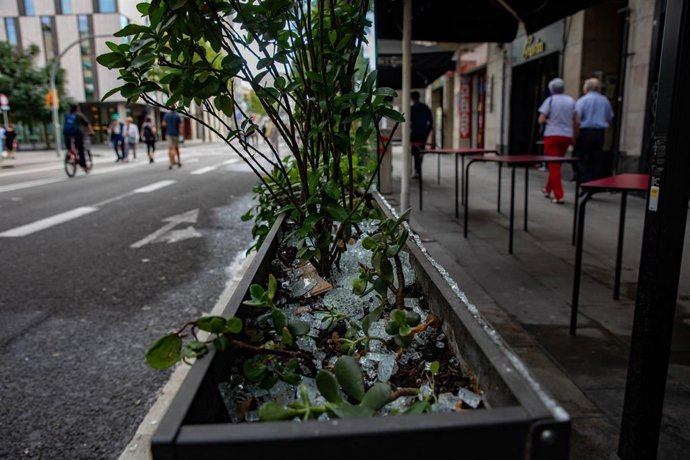 Cristales rotos en una maceta tras los altercados